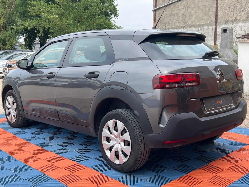 CITROEN C4 CACTUS 2019 1.5 BlueHDi 102 cv