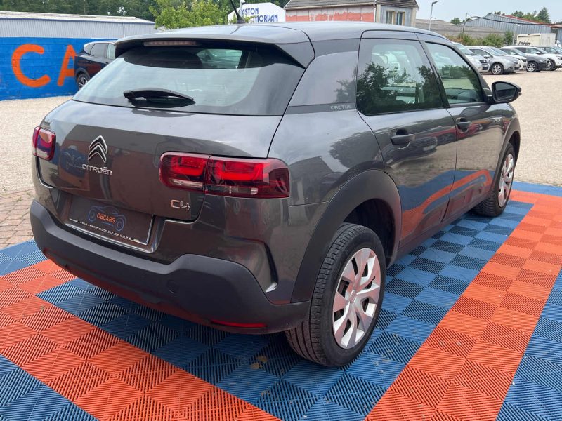 CITROEN C4 CACTUS 2019 1.5 BlueHDi 102 cv