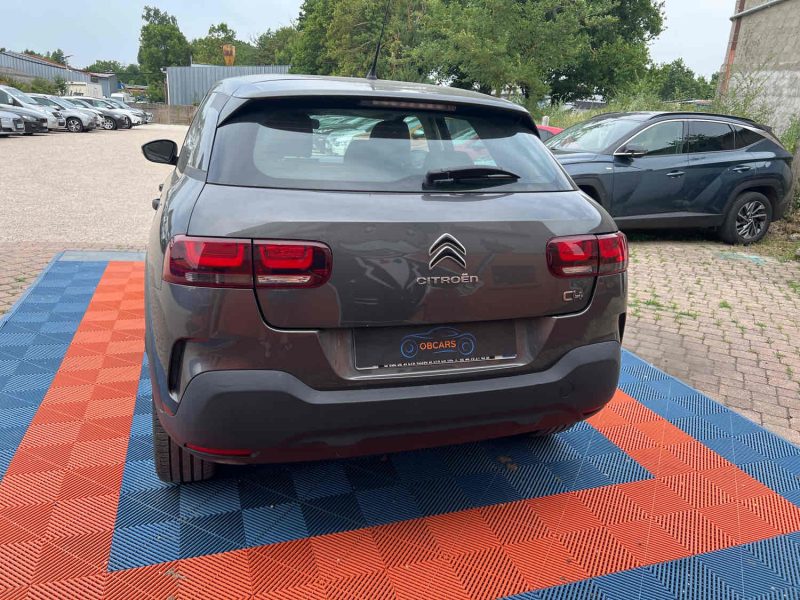 CITROEN C4 CACTUS 2019 1.5 BlueHDi 102 cv