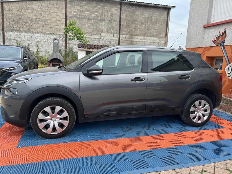 CITROEN C4 CACTUS 2019 1.5 BlueHDi 102 cv