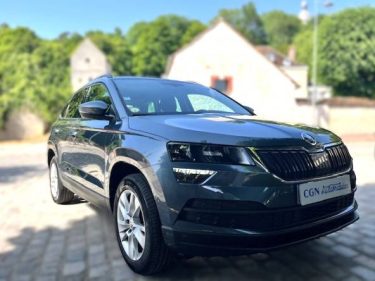 SKODA KAROQ 2019