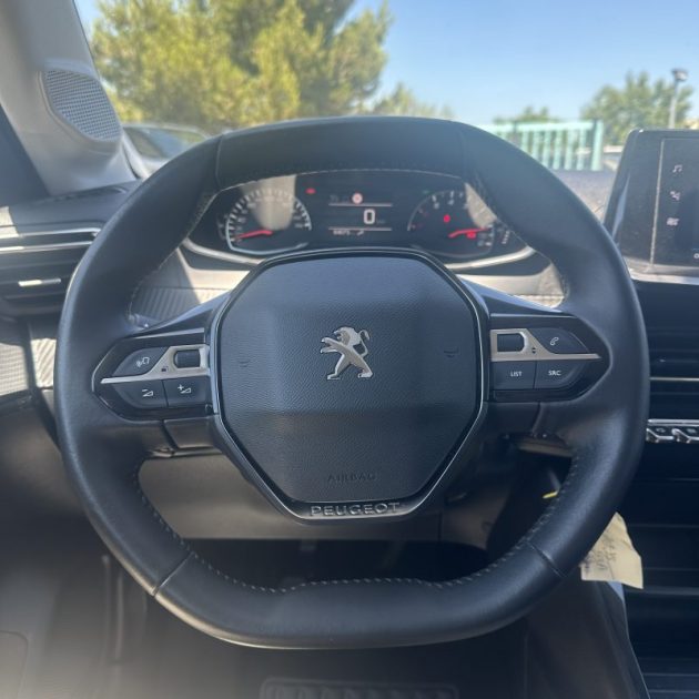 PEUGEOT 208 1.5 BlueHDi 100 cv Active Business Garantie 12 Mois