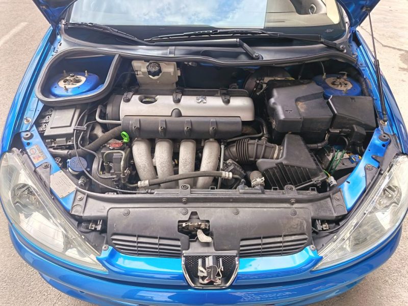 PEUGEOT 206 RC 177ch 2003