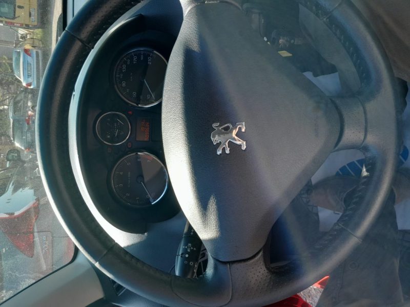 PEUGEOT 206+ 1.4L Pack Trendy 75 cv garantie 12 mois 