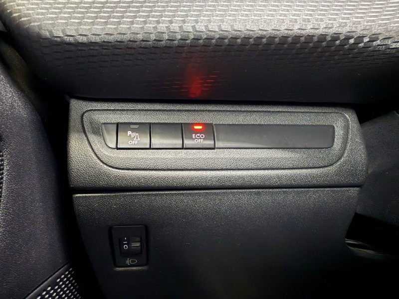 PEUGEOT 208 1.6 BLUEHDI ALLURE BUSINESS 100 CV 