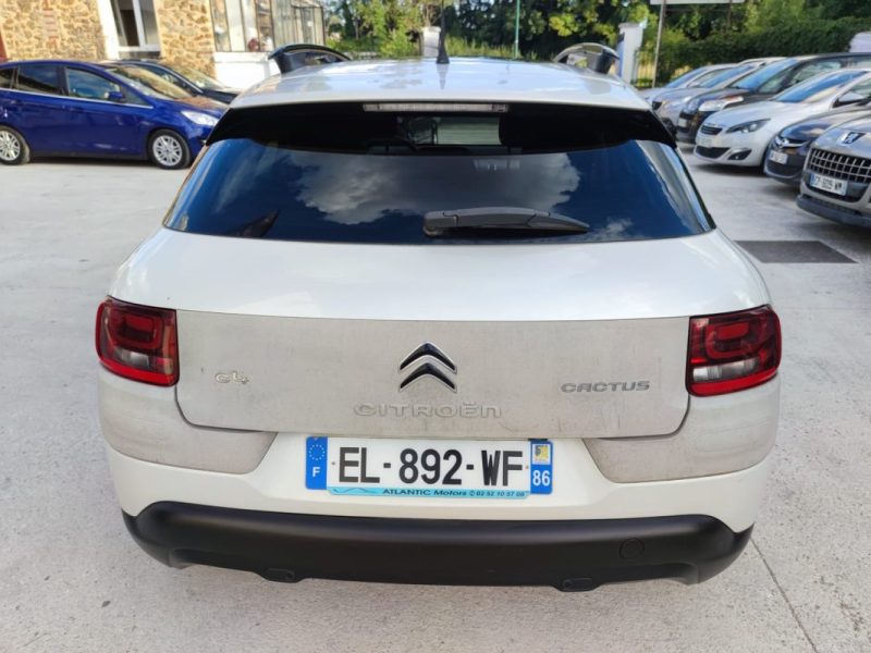 CITROEN C4 CACTUS Shine BlueHDi 100