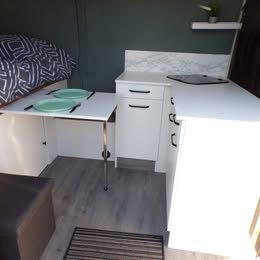 RENAULT MASTER III Camionnette 2011