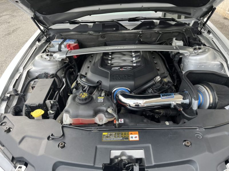 FORD MUSTANG GT California Special