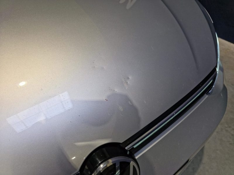 VOLKSWAGEN GOLF VII 2021