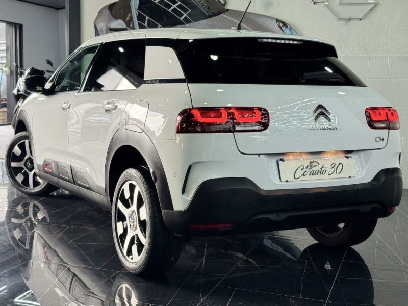 CITROEN C4 CACTUS 2019