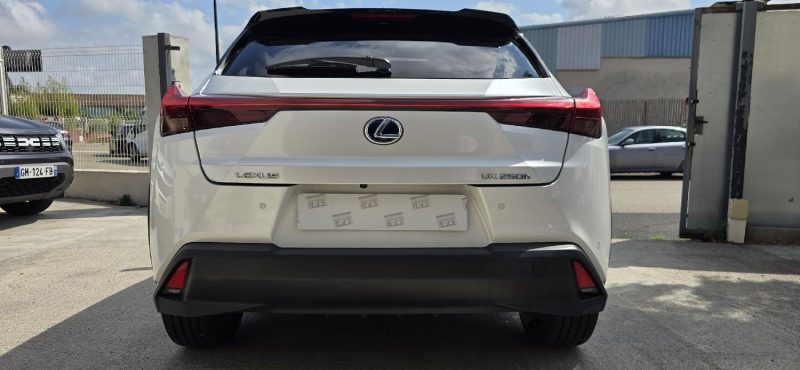 LEXUS UX 250H / Luxe + Pack Techno
