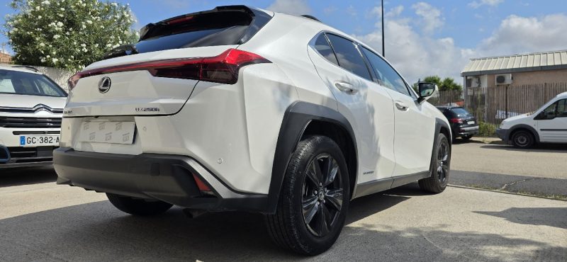 LEXUS UX 250H / Luxe + Pack Techno