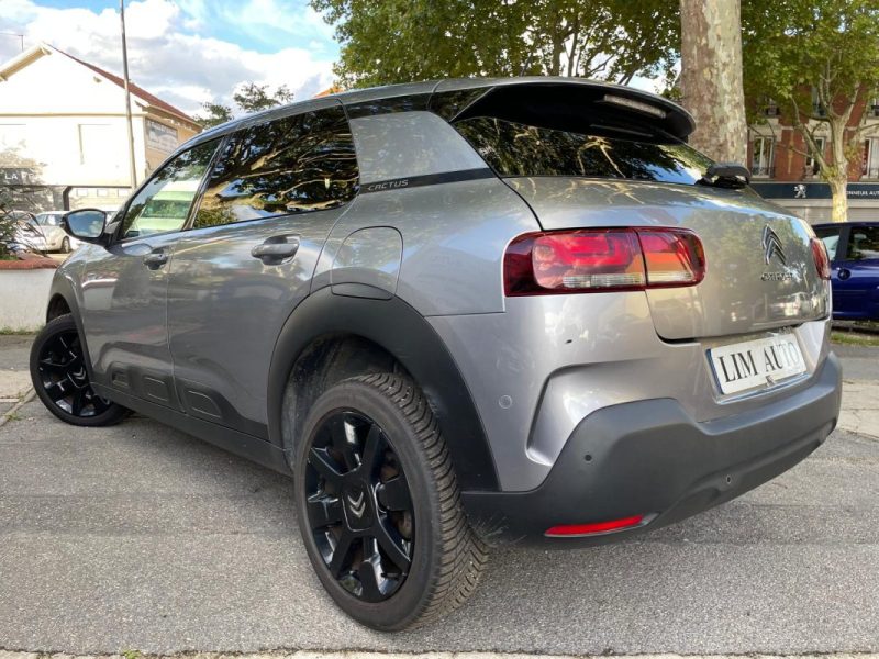CITROEN C4 CACTUS 2019