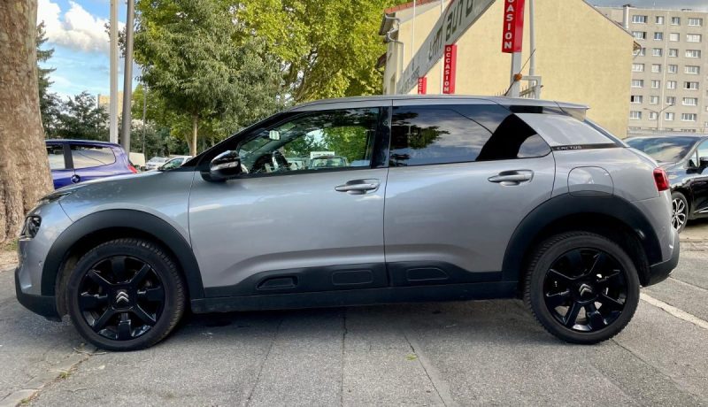CITROEN C4 CACTUS 2019
