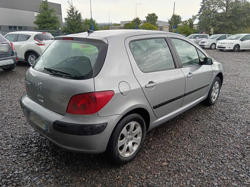 PEUGEOT 307 2002