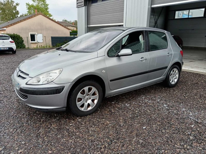 PEUGEOT 307 2002