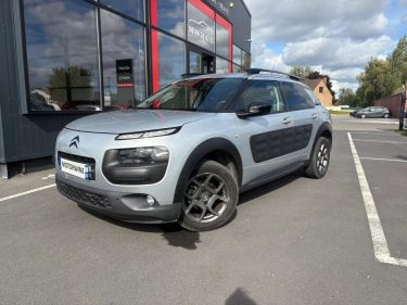 C4 CACTUS 