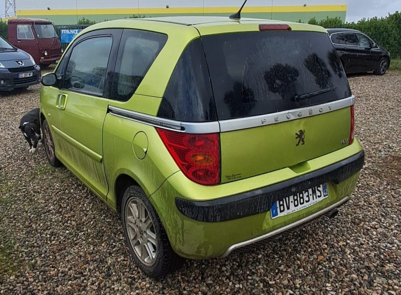 PEUGEOT 1007 2007