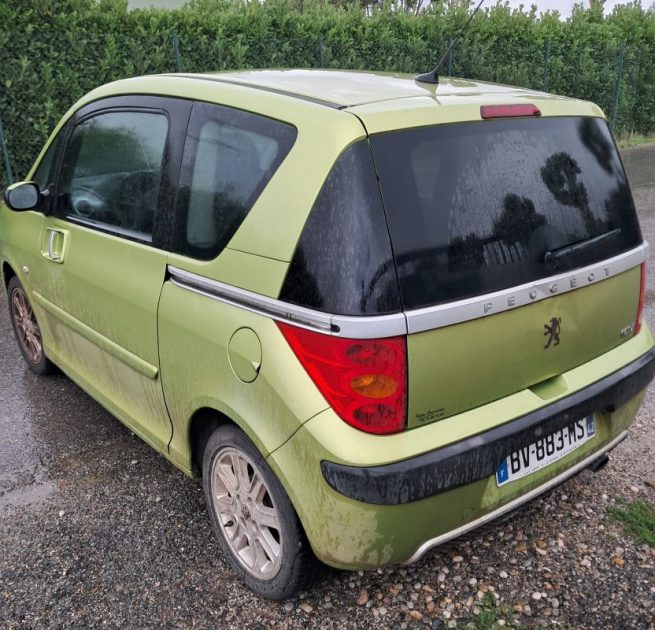 PEUGEOT 1007 2007