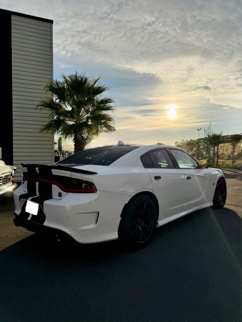 DODGE CHARGER  SRT 392 SCATPACK 6.4L V8 492 CV 2019