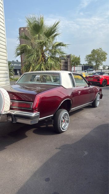 BUICK SKYLARK LOWRIDER  V6 BVA 1980