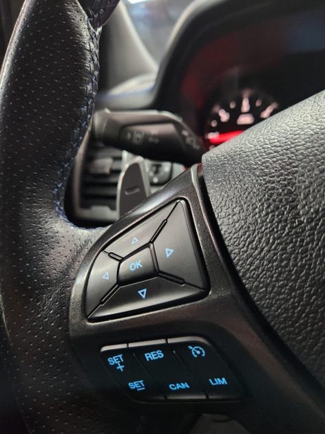 FORD RAPTOR 2.0 ECOBLUE 213 DOUBLE CABINE RAPTOR AUTO - DIESEL - BOÎTE AUTOMATIQUE 2020