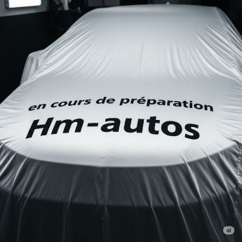 CITROEN BERLINGO BLUEHDI 100CH SHINE S&S 2017