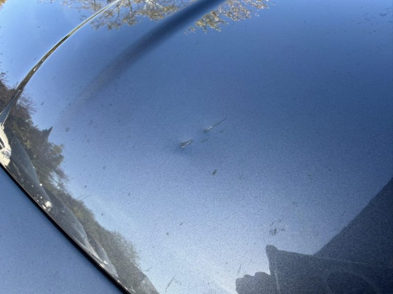 FIAT 500 1.2  69cv LOUNGE 