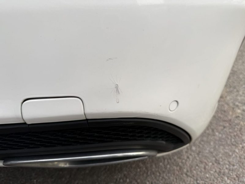 MERCEDES CLASSE C 180 1.6 CDI 116cv AMGLINE 