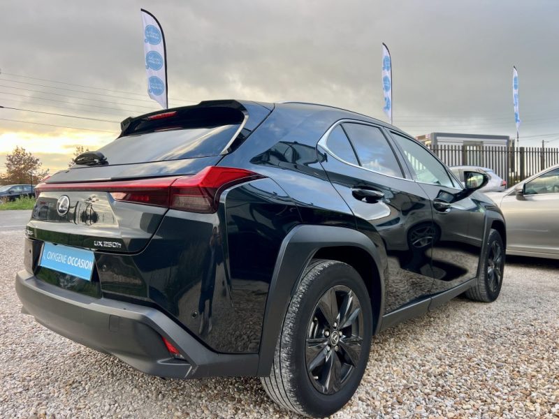 LEXUS UX250H 2WD Luxe MY20 07/2020