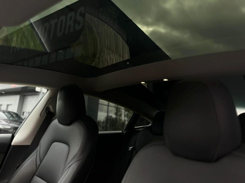 TESLA Model 3 RWD Standard Plus • MY22 • 2022