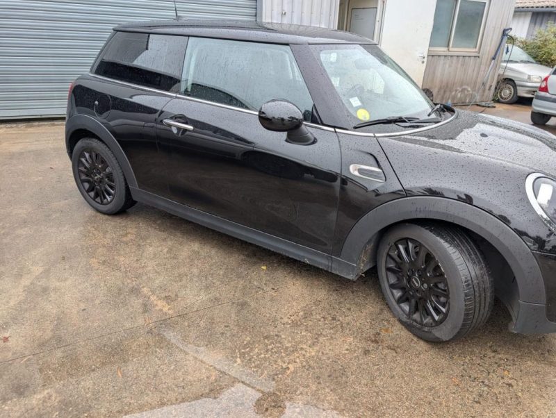 MINI MINI III ONE D 95CH SALT 2018