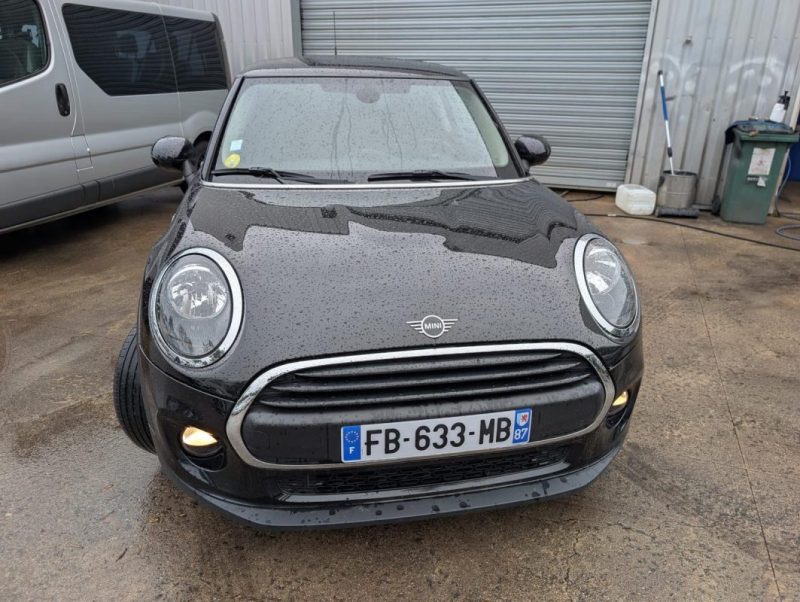 MINI MINI III ONE D 95CH SALT 2018