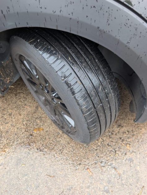 MINI MINI III ONE D 95CH SALT 2018