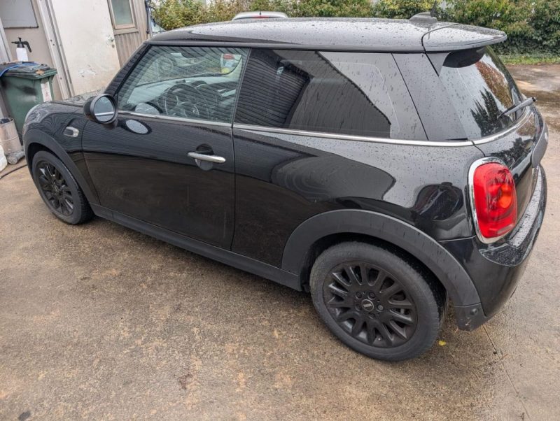 MINI MINI III ONE D 95CH SALT 2018