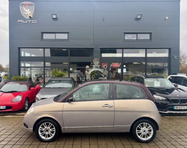 LANCIA YPSILON 1.3 MULTIJET PLATINO 16V 75 ELEFANTINO 2007
