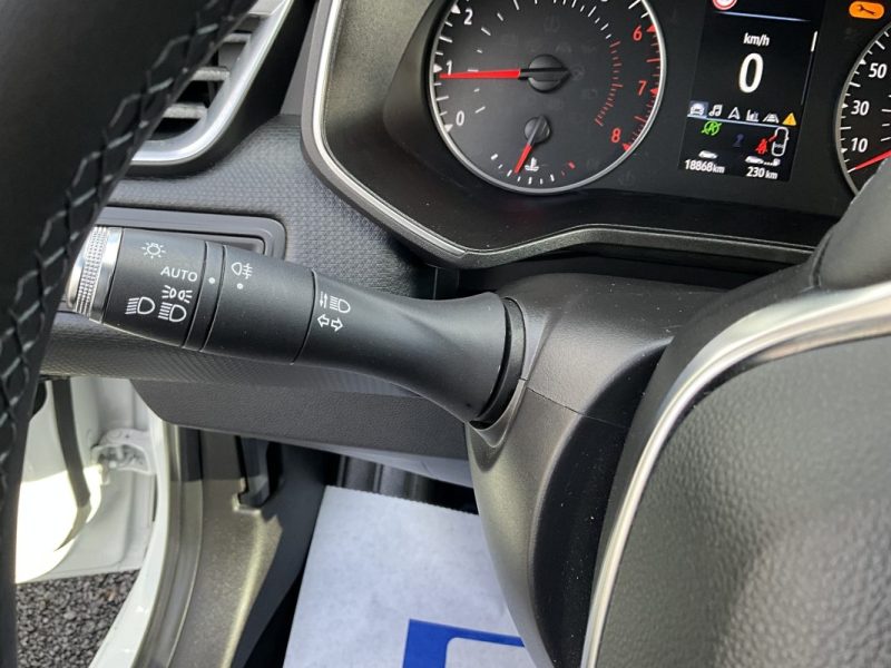 RENAULT CLIO 1.0 TCE 100 CV BUSINESS *18 500KM 